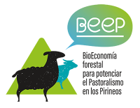 Logo BEEP H2