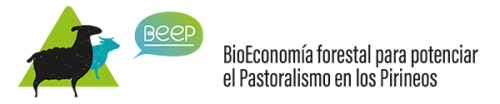 Logo BEEP